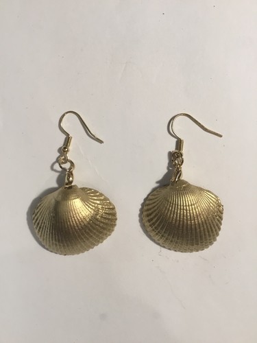 Authentic cape cod - cape, shell