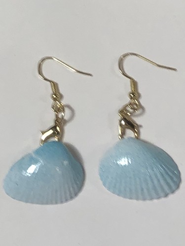 Cape cod sea shell - cod,